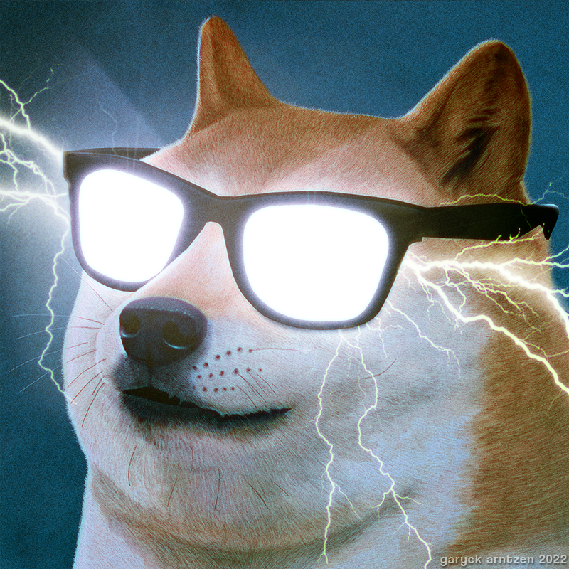 Mr.Doge